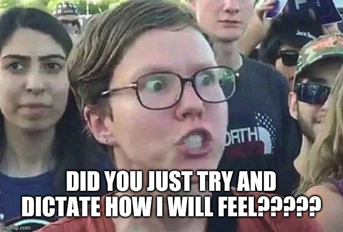 Triggered Liberal | DID YOU JUST TRY AND DICTATE HOW I WILL FEEL????? | image tagged in triggered liberal | made w/ Imgflip meme maker