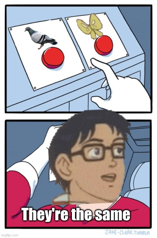 The same thing | They're the same | image tagged in memes,two buttons | made w/ Imgflip meme maker