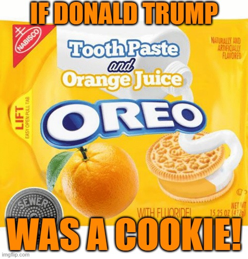 Trump as a cookie | IF DONALD TRUMP; WAS A COOKIE! | image tagged in donald trump,cookie,president | made w/ Imgflip meme maker