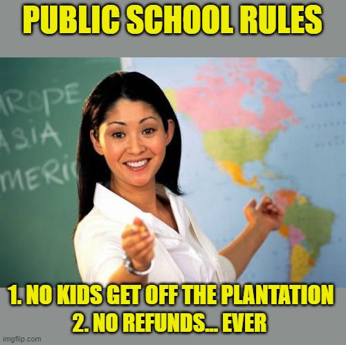 Unhelpful High School Teacher Meme | PUBLIC SCHOOL RULES 1. NO KIDS GET OFF THE PLANTATION 2. NO REFUNDS... EVER | image tagged in memes,unhelpful high school teacher | made w/ Imgflip meme maker