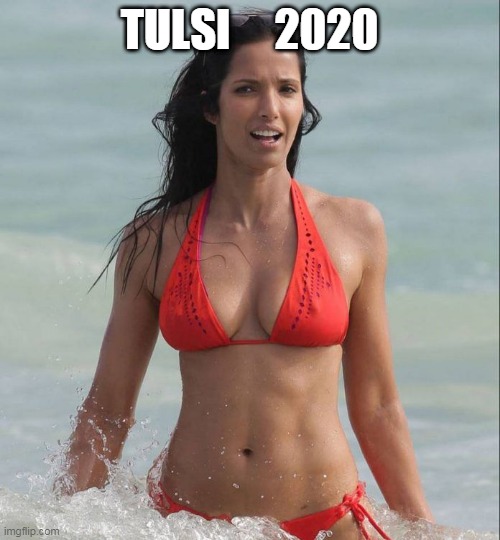 TULSI     2020 | made w/ Imgflip meme maker
