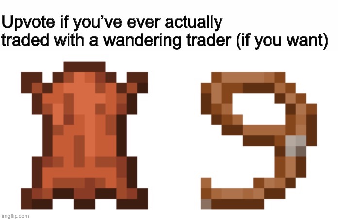 They’re quite annoying | image tagged in minecraft,wandering trader,not upvote begging,just want to know | made w/ Imgflip meme maker