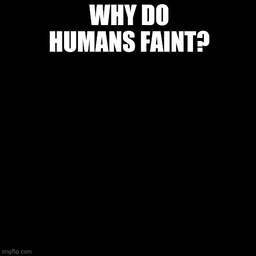 Black Blank | WHY DO HUMANS FAINT? | image tagged in black blank | made w/ Imgflip meme maker