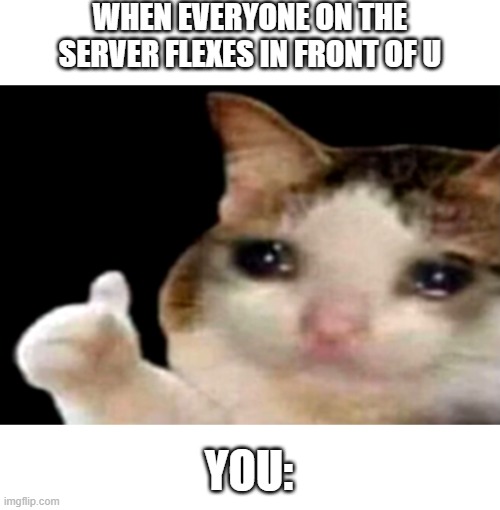 For loomian legacy players | WHEN EVERYONE ON THE SERVER FLEXES IN FRONT OF U; YOU: | image tagged in sad cat thumbs up | made w/ Imgflip meme maker