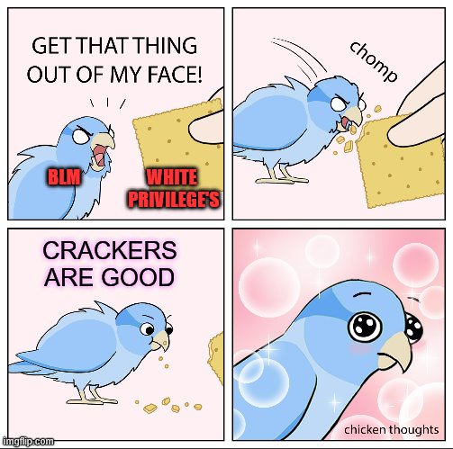 Bird Cracker | BLM                   WHITE
                       PRIVILEGE'S CRACKERS ARE GOOD | image tagged in bird cracker | made w/ Imgflip meme maker