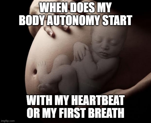 Pregnant Stomach | WHEN DOES MY BODY AUTONOMY START; WITH MY HEARTBEAT OR MY FIRST BREATH | image tagged in pregnant stomach | made w/ Imgflip meme maker