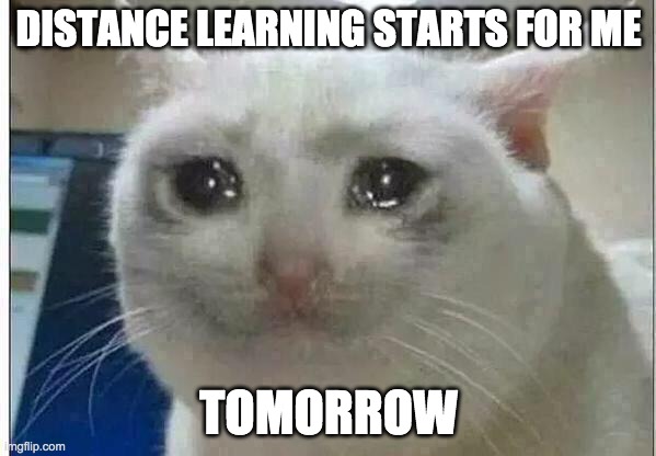 I might not b as protucitve due to school work | DISTANCE LEARNING STARTS FOR ME; TOMORROW | image tagged in crying cat,memes,luke nooooo,cats | made w/ Imgflip meme maker