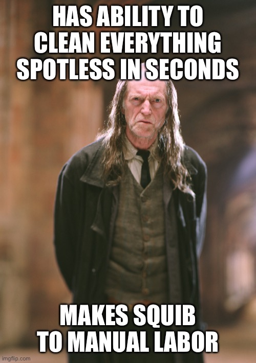 Filch | HAS ABILITY TO CLEAN EVERYTHING SPOTLESS IN SECONDS; MAKES SQUIB TO MANUAL LABOR | image tagged in argus filch | made w/ Imgflip meme maker
