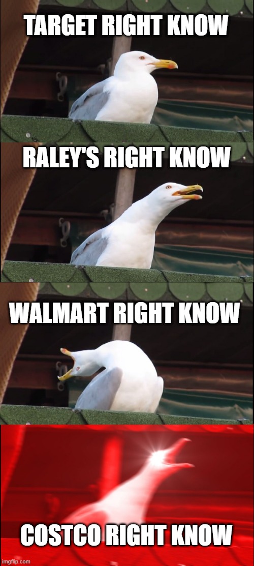 Stores right known | TARGET RIGHT KNOW; RALEY'S RIGHT KNOW; WALMART RIGHT KNOW; COSTCO RIGHT KNOW | image tagged in memes,inhaling seagull | made w/ Imgflip meme maker