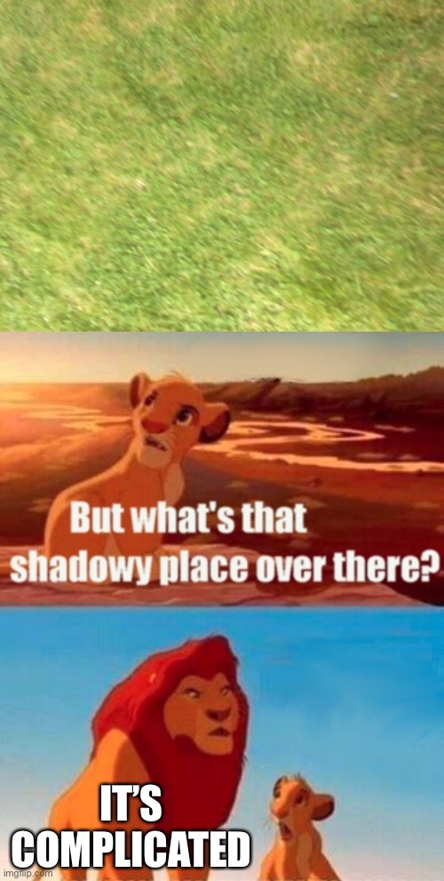 Mufasa and the Grass | IT’S COMPLICATED | image tagged in memes,simba shadowy place | made w/ Imgflip meme maker