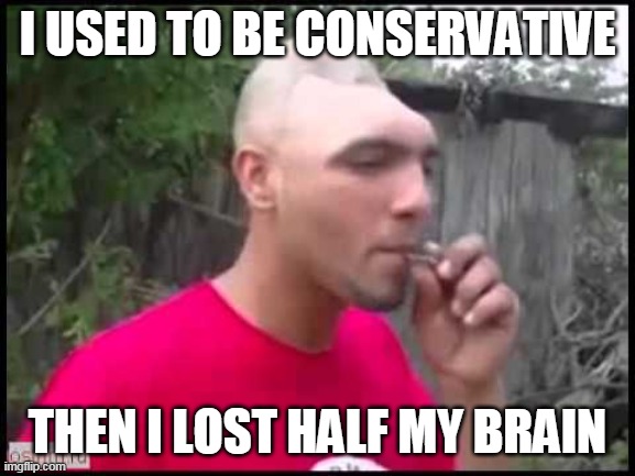 I USED TO BE CONSERVATIVE THEN I LOST HALF MY BRAIN | made w/ Imgflip meme maker