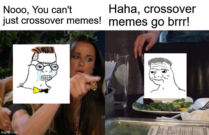 Crossover memes anyone? | Nooo, You can't just crossover memes! Haha, crossover memes go brrr! | image tagged in memes,woman yelling at cat | made w/ Imgflip meme maker