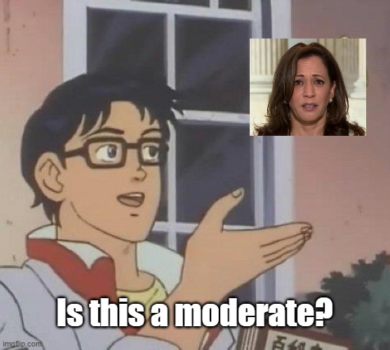 Is This A Pigeon Meme | Is this a moderate? | image tagged in memes,is this a pigeon | made w/ Imgflip meme maker