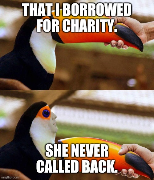 Toucan Beak | THAT I BORROWED FOR CHARITY. SHE NEVER CALLED BACK. | image tagged in toucan beak | made w/ Imgflip meme maker