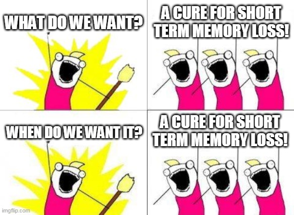 What Do We Want Meme | WHAT DO WE WANT? A CURE FOR SHORT TERM MEMORY LOSS! A CURE FOR SHORT TERM MEMORY LOSS! WHEN DO WE WANT IT? | image tagged in memes,what do we want | made w/ Imgflip meme maker