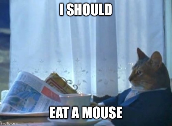 I Should Buy A Boat Cat Meme | I SHOULD; EAT A MOUSE | image tagged in memes,i should buy a boat cat | made w/ Imgflip meme maker