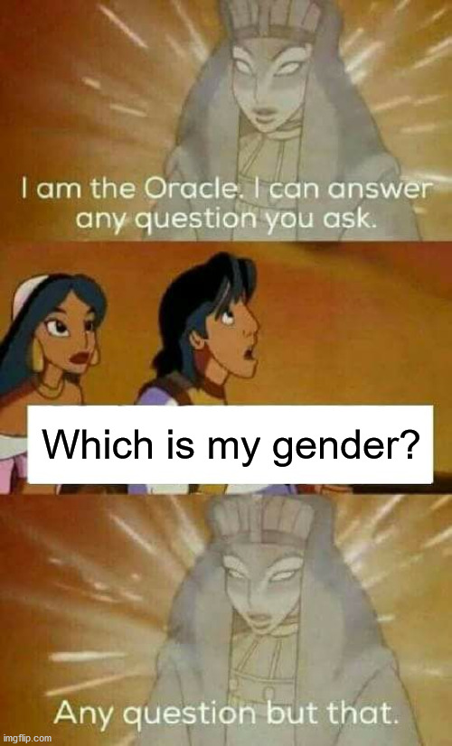 For those questioning | Which is my gender? | image tagged in oracle question,lgbtq,trans | made w/ Imgflip meme maker