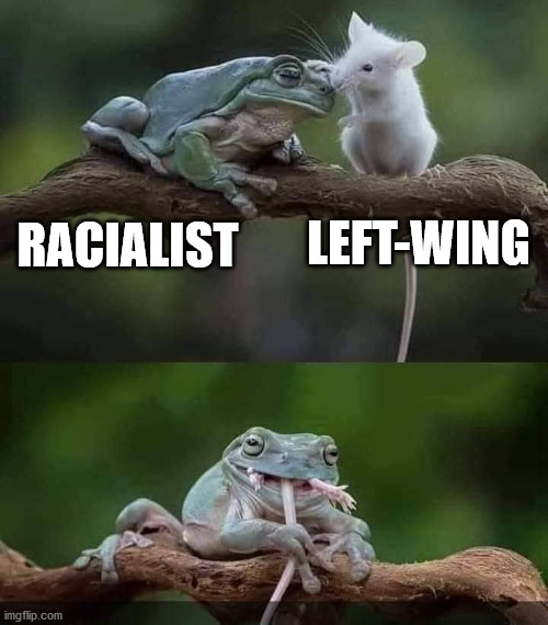 LEFT-WING; RACIALIST | image tagged in left wing | made w/ Imgflip meme maker