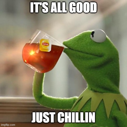 Ethan Robinson | IT'S ALL GOOD; JUST CHILLIN | image tagged in memes,but that's none of my business,kermit the frog | made w/ Imgflip meme maker