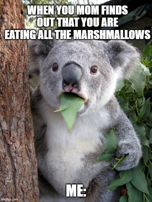 Candy time. | WHEN YOU MOM FINDS OUT THAT YOU ARE EATING ALL THE MARSHMALLOWS; ME: | image tagged in memes,surprised koala | made w/ Imgflip meme maker