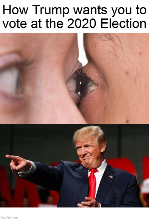 How Trump wants you to vote at the 2020 Election; COVELL BELLAMY III | image tagged in trump how he wants you to vote for the 2020 election | made w/ Imgflip meme maker