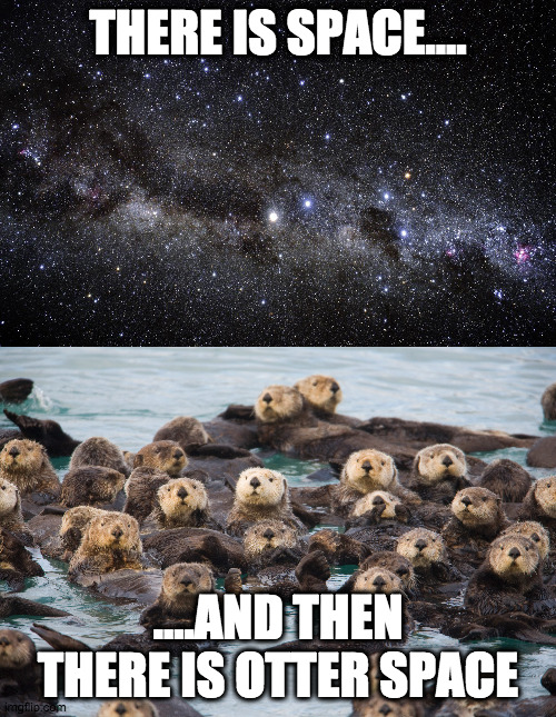 otter most space | THERE IS SPACE.... ....AND THEN THERE IS OTTER SPACE | image tagged in fun | made w/ Imgflip meme maker