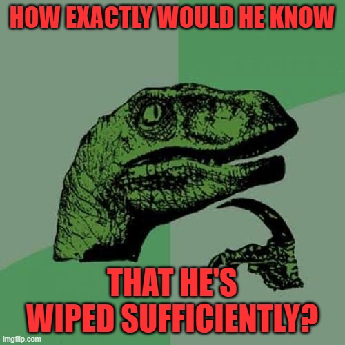 Philosoraptor Meme | HOW EXACTLY WOULD HE KNOW THAT HE'S WIPED SUFFICIENTLY? | image tagged in memes,philosoraptor | made w/ Imgflip meme maker