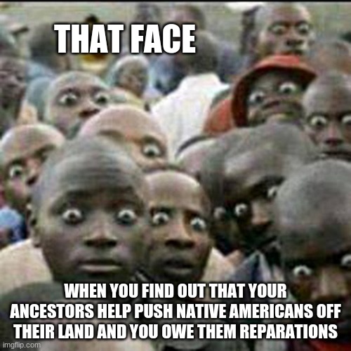 Give up your homes | THAT FACE; WHEN YOU FIND OUT THAT YOUR ANCESTORS HELP PUSH NATIVE AMERICANS OFF THEIR LAND AND YOU OWE THEM REPARATIONS | image tagged in that face,blacks owe native americans repartaions,reparations,native americans,pay up,give up your homes | made w/ Imgflip meme maker