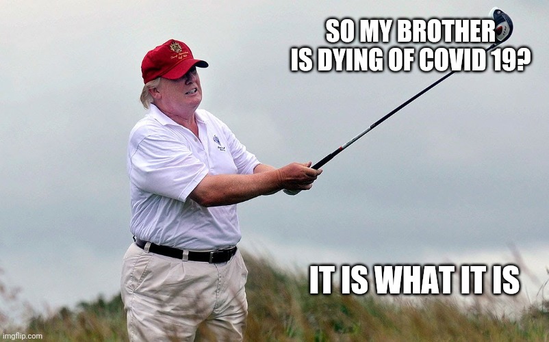 Heartless trump | SO MY BROTHER IS DYING OF COVID 19? IT IS WHAT IT IS | image tagged in covid19,coronavirus,trump,liberal vs conservative,conservatives,face mask | made w/ Imgflip meme maker