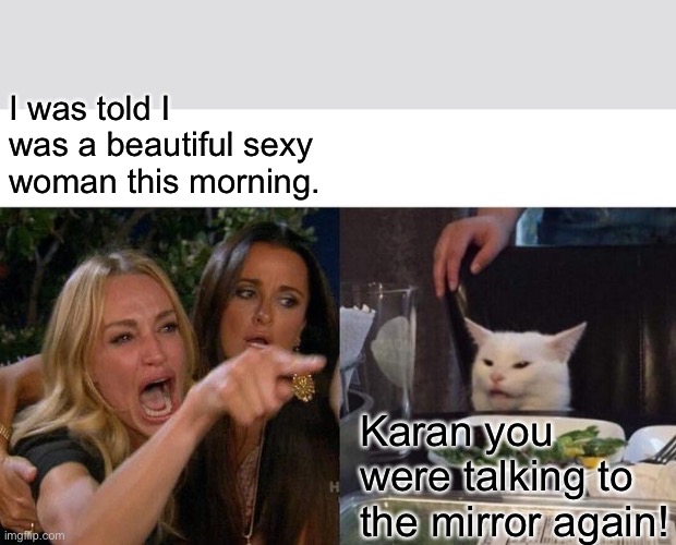 Woman yelling at cat | I was told I was a beautiful sexy woman this morning. Karan you were talking to the mirror again! | image tagged in memes,woman yelling at cat | made w/ Imgflip meme maker