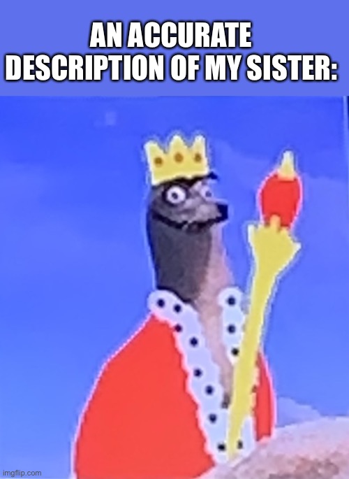 My sister agrees with this. | AN ACCURATE DESCRIPTION OF MY SISTER: | image tagged in king stupid,sister,finding dory | made w/ Imgflip meme maker