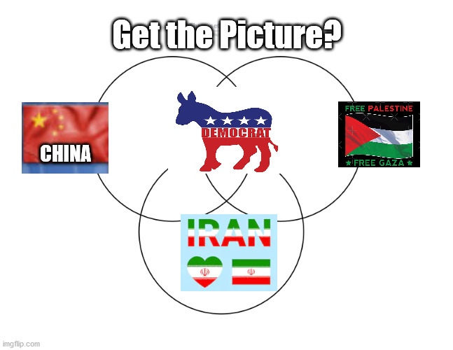 Birds of a Democrat Feather | Get the Picture? CHINA | image tagged in democrats,iran,china,middle east,biden | made w/ Imgflip meme maker