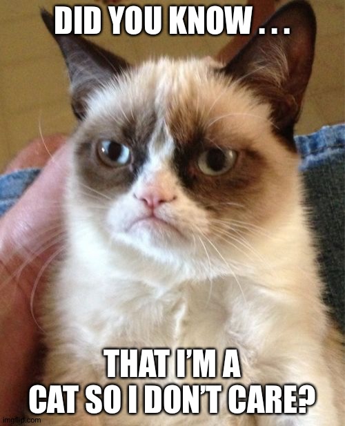 Grumpy Cat Meme | DID YOU KNOW . . . THAT I’M A CAT SO I DON’T CARE? | image tagged in memes,grumpy cat | made w/ Imgflip meme maker