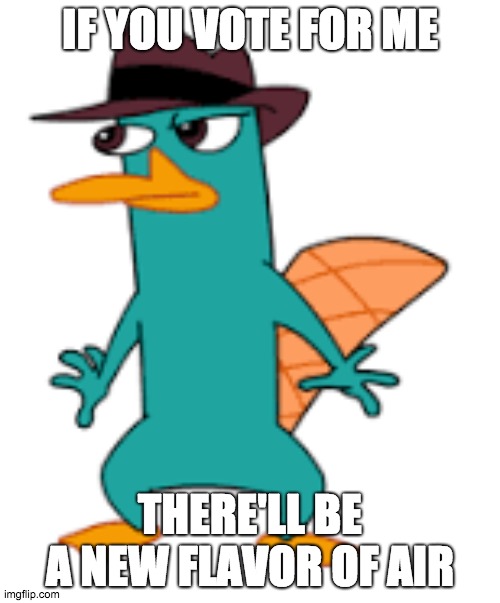 IF YOU VOTE FOR ME; THERE'LL BE A NEW FLAVOR OF AIR | image tagged in perry | made w/ Imgflip meme maker