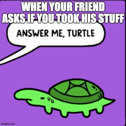 answer me, turtle | WHEN YOUR FRIEND ASKS IF YOU TOOK HIS STUFF | image tagged in answer me turtle | made w/ Imgflip meme maker