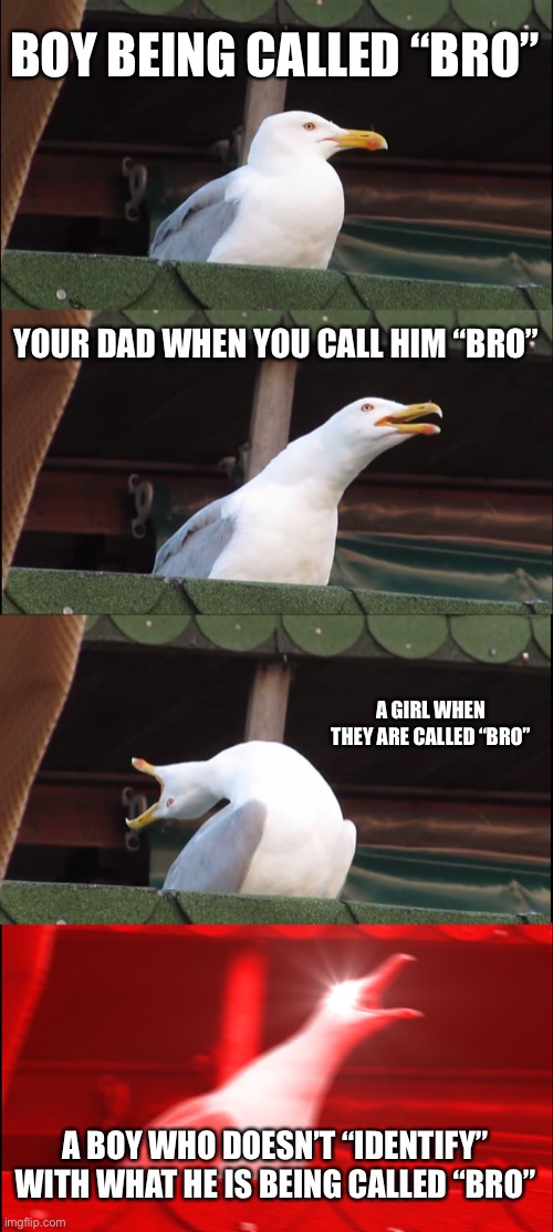 Upvote it, bro! | BOY BEING CALLED “BRO”; YOUR DAD WHEN YOU CALL HIM “BRO”; A GIRL WHEN THEY ARE CALLED “BRO”; A BOY WHO DOESN’T “IDENTIFY” WITH WHAT HE IS BEING CALLED “BRO” | image tagged in memes,inhaling seagull,bro,funny,sad but true,identify | made w/ Imgflip meme maker