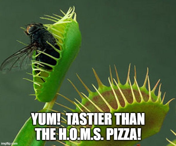 Venus Flytrap | YUM!  TASTIER THAN THE H.O.M.S. PIZZA! | image tagged in venus flytrap | made w/ Imgflip meme maker