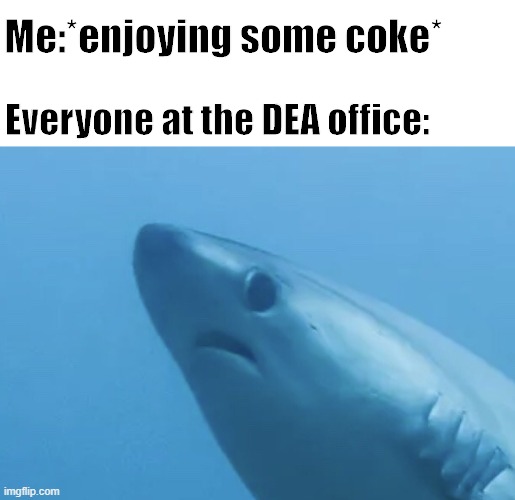 u wot? | Me:*enjoying some coke*; Everyone at the DEA office: | image tagged in shark week,drugs | made w/ Imgflip meme maker