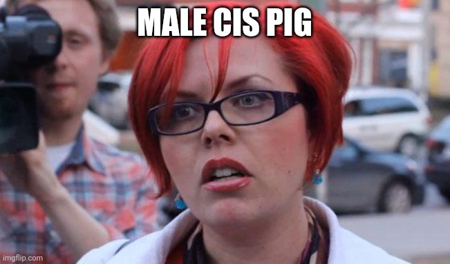 Angry Feminist | MALE CIS PIG | image tagged in angry feminist,memes | made w/ Imgflip meme maker