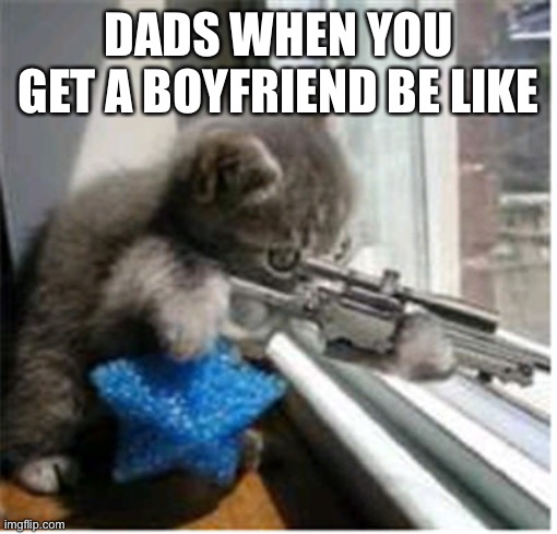 Hitman lolcat | DADS WHEN YOU GET A BOYFRIEND BE LIKE | image tagged in hitman lolcat | made w/ Imgflip meme maker