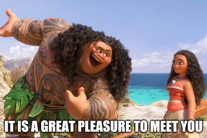 Moana Maui You're Welcome | IT IS A GREAT PLEASURE TO MEET YOU | image tagged in moana maui you're welcome | made w/ Imgflip meme maker