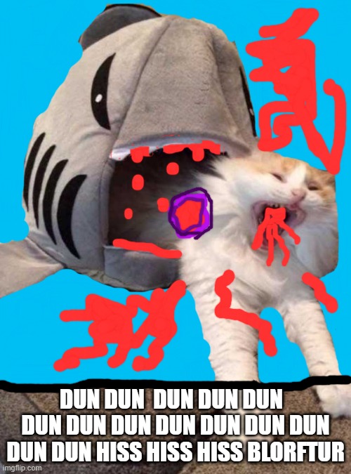 ohhhhh sorry cat | DUN DUN  DUN DUN DUN   DUN DUN DUN DUN DUN DUN DUN DUN DUN HISS HISS HISS BLORFTUR | image tagged in shark eating cat | made w/ Imgflip meme maker