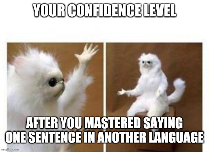 Me llamo Raoul! | YOUR CONFIDENCE LEVEL; AFTER YOU MASTERED SAYING ONE SENTENCE IN ANOTHER LANGUAGE | image tagged in confused white monkey | made w/ Imgflip meme maker