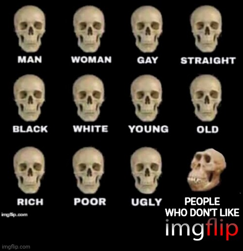 Don't be shy, tell Imgflip what you don't like about Imgflip or why you don't like Imgflip. Help us make it better. | PEOPLE WHO DON'T LIKE | image tagged in idiot skull,constructive criticism,feedback,suggestion box,imgflip users,imgflip mods | made w/ Imgflip meme maker