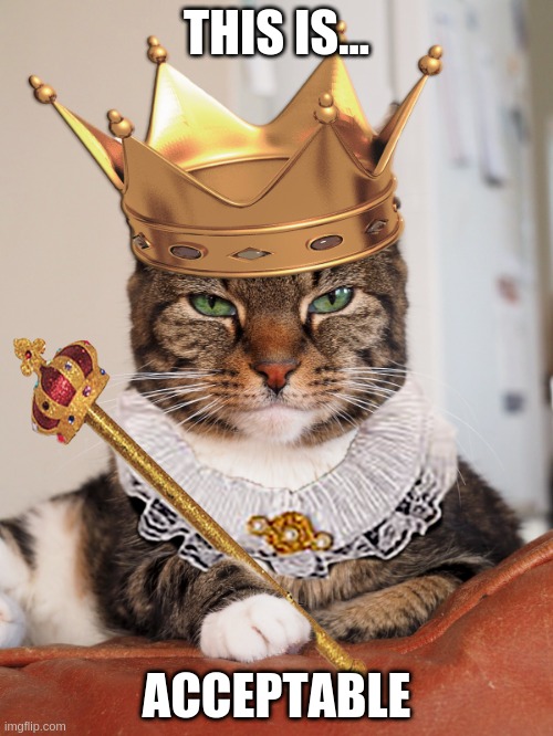 Royal Cat | THIS IS... ACCEPTABLE | image tagged in funny,cats | made w/ Imgflip meme maker