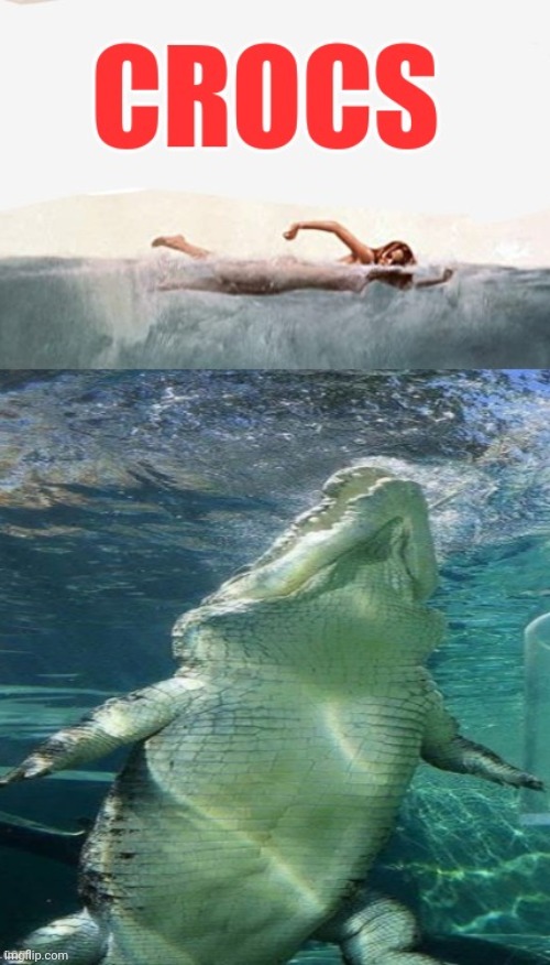 just when you thought it was safe to swim in Florida... | image tagged in jaws,crocodile,spoof | made w/ Imgflip meme maker