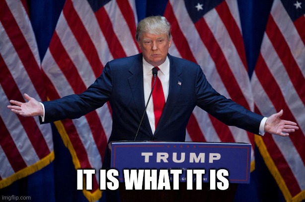 Donald Trump | IT IS WHAT IT IS | image tagged in donald trump | made w/ Imgflip meme maker