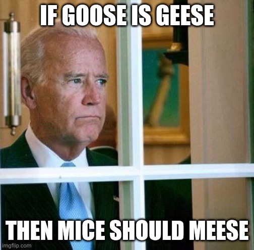 Sad Joe Biden | IF GOOSE IS GEESE; THEN MICE SHOULD MEESE | image tagged in sad joe biden | made w/ Imgflip meme maker