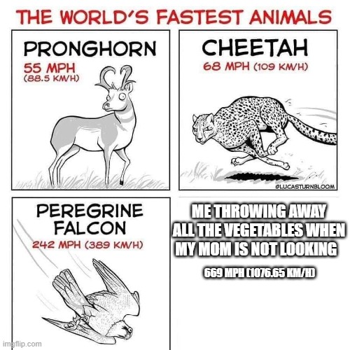 The world's fastest animals | ME THROWING AWAY ALL THE VEGETABLES WHEN MY MOM IS NOT LOOKING; 669 MPH (1076.65 KM/H) | image tagged in the world's fastest animals | made w/ Imgflip meme maker