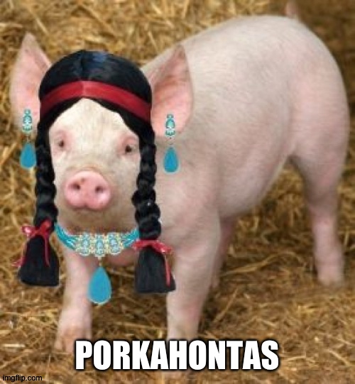 I accidentally searched porkahontas, never been satisfied. | PORKAHONTAS | image tagged in pocahontas,pig,porkahontas | made w/ Imgflip meme maker